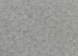 3000