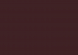 RAL 3007